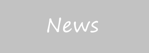 Parish Council Elections 2025