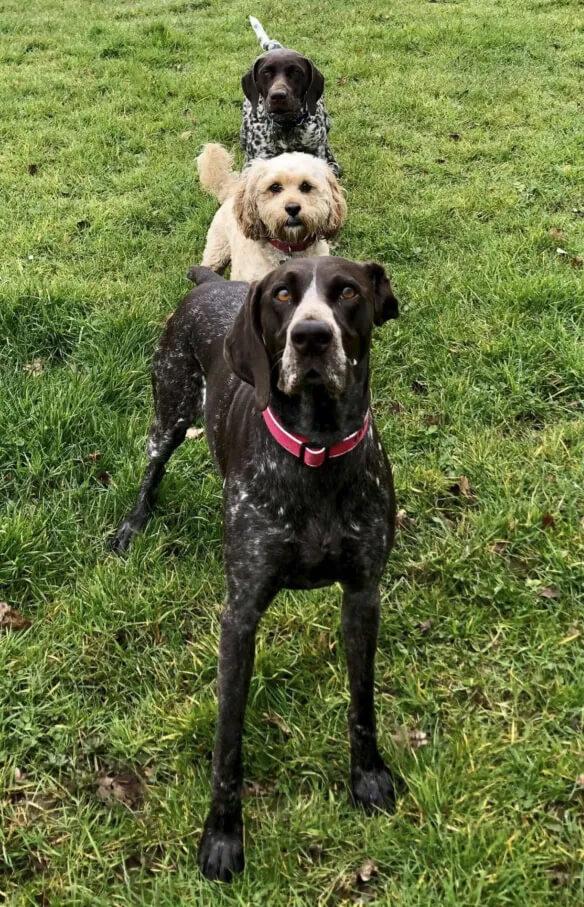 The KC Cup Photo Competition winner 2021